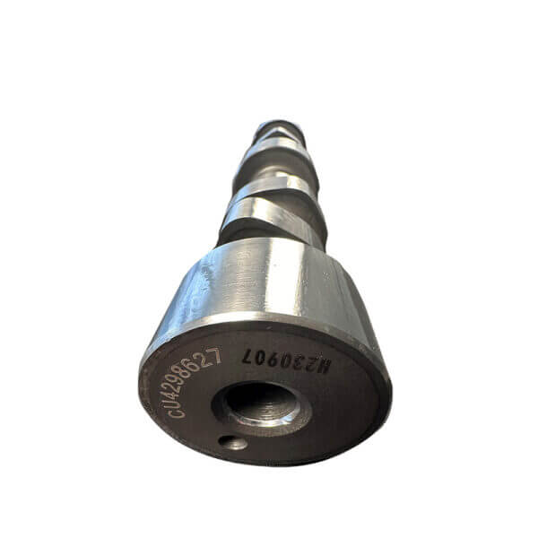 DOHC Camshaft Valve OEM Applications 4059333 2